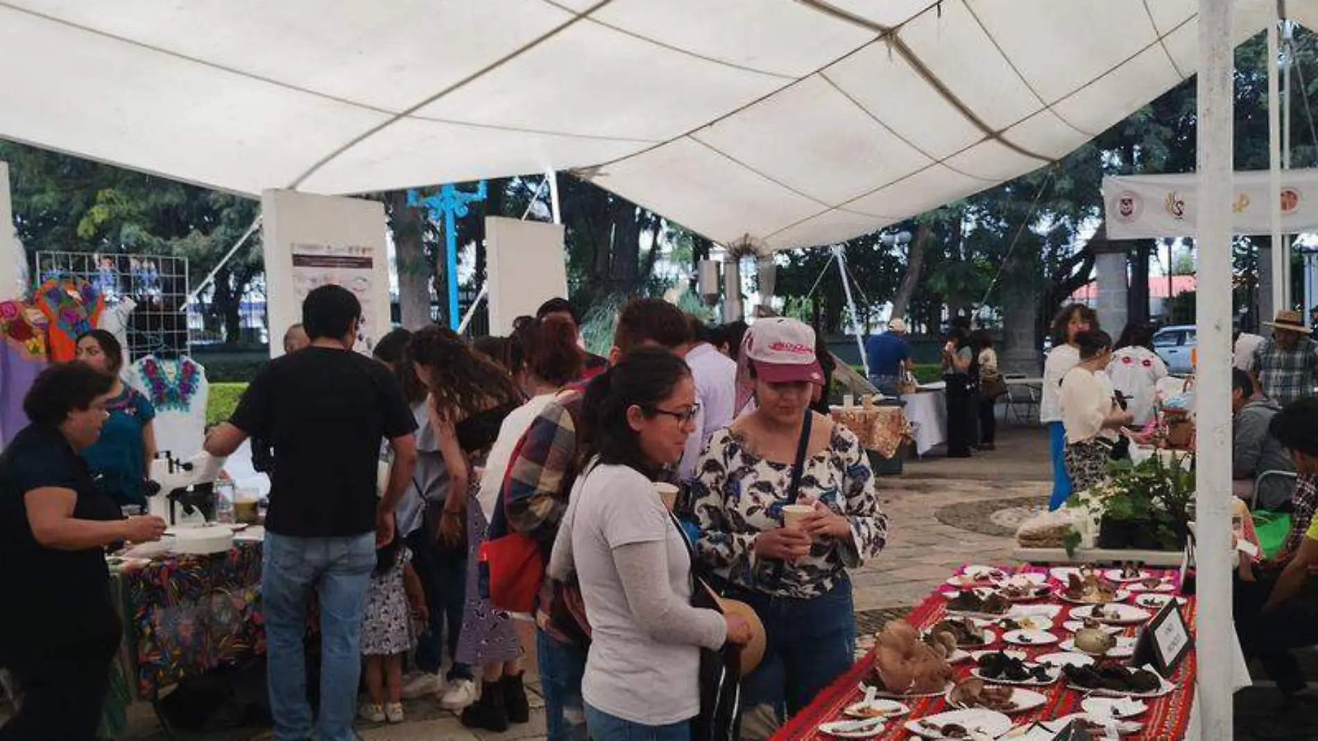 El festival ofreció una variedad de actividades  (3)